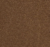 Ковролин AW Vivendi Punch 80 фото 1 | FLOORDEALER